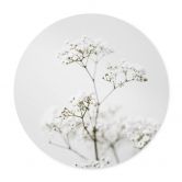 Plakat Annie - Wild Grass 