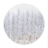 Poster Birkenwald im Winter - EMELIEmaria - Rund 