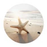 Poster Funkelnder Seestern am einsamen Strand - Rund 