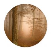Poster Dunst und Licht im herbstlichen Wald - Maier - Rund 