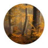 Poster Gouden bladeren in een mistig bos - Maier - Rond 
