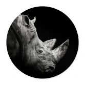 Plakat Meermann - Rhino 