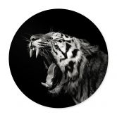Poster Meermann - Der Tiger - Rund 