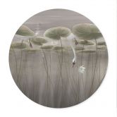Poster Lotusblumen mit Schwan im Wasser in Grau - Ms Tiff - Rund 