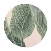 Poster Calathea Pflanze - Sisi & Seb - Rund 