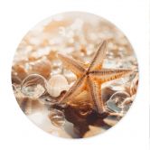 Poster Muscheln am sonnigen Strand - Treechild - Rund 