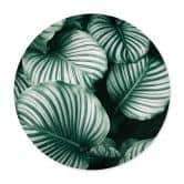 Poster Rond - Urban Jungle 
