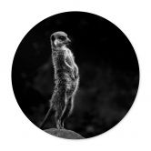 Poster van Son - Vigilance - Rond 