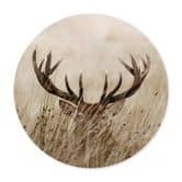 Poster Wachsamer Hirsch - Rund 