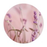 Poster Zarter Lavendel - Rund 