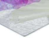 Spritzschutz Disher - Frozen Flowers 