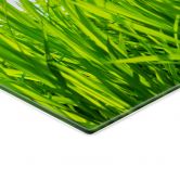 Spritzschutz Grüne Wiese 