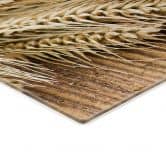 Spritzschutz Ofenfrisches Ciabatta 