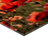 Spritzschutz Poppy Field 