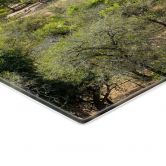 Spritzschutz Savannenlandschaft in Afrika - Hugonnard 