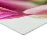 Spritzschutz Bsmart - Tulips 