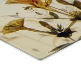Spritzschutz Wilde Wiesenblumen im Sonnenlicht - Talen - Panorama 