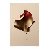 Stoffbild Elegantes Blatt in Gold und Rot - Alma 