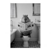 Affiche textile Capybara sur les toilettes silencieuses 