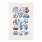 Stoffbild Filigrane Algen und Muscheln - casa cartissi 