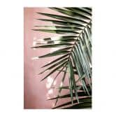 Stoffbild Palmenblatt vor rosa Wand - Böhmer 