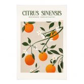 Stoffbild Boho Orangenbaum - Citrus Sinensis - Tunaboylu 