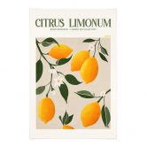 Stoffbild Boho Zitronenbaum - Citrus Limonum - Tunaboylu 