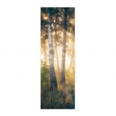 Textielposter Zonneschijn in een berkenbos - Kado - Panorama 