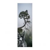 Stoffbild Wonisch - Kräfte der Natur - Panorama 