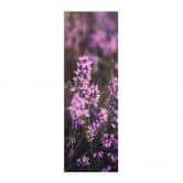 Stoffbild Floral - Lila Heideblüte im warmen Licht - Annie - Panorama 