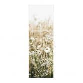 Stoffbild Sommerwiese mit Kamille - Annie - Panorama 