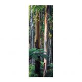 Tekstil plakat Eukalyptusskov i Yarra Ranges - Colombo - Panorama 