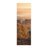 Tekstil plakat Birketræer i den gyldne morgendug - Cui - Panorama 