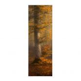 Stoffbild Goldene Blätter im nebligen Wald - Maier - Panorama 