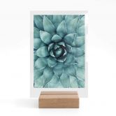 Tischaufsteller Agave 02 