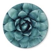 Tischplatte aus Glas - Agave 02 - Rund 