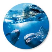 Tischplatte aus Glas - Dolphins Underwater - Rund 