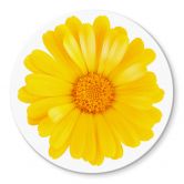 Tischplatte aus Glas - Gerbera Gelb - Rund 