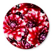 Tischplatte aus Glas - Rote Blütenpracht - Rund 