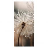 Türfolie Pusteblume im Morgentau - Treechild - Selbstklebende Türdeko 