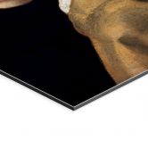 Wandbild Vermeer - Das Mädchen mit dem Perlenohrring - Alu-Dibond 