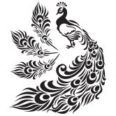 Wandtattoo Kleiner Pfau mit langem Federkleid + 3 Pfauenfedern 