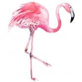 Muursticker Kvilis – Flamingo 02 
