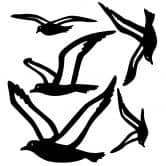 Wandtattoo Möwenschar (5-teilig) 