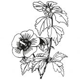 Muursticker Planten Silhouet 