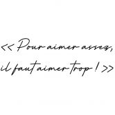 Wandtattoo Pour aimer assez 