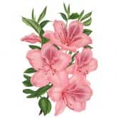 Wandtattoo Rosa Lilien 
