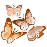 Sticker mural Papillons dessinés à la main marron 4 pièces 