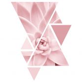 Wandtattoo Sisi & Seb - Rosa Sukkulente im Dreieck 