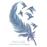 Sticker mural Freedom - Plume et oiseaux 